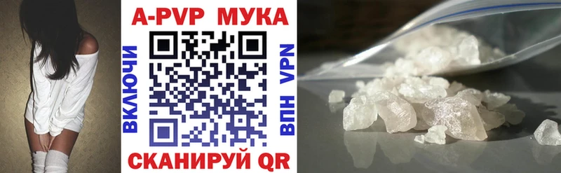 Alpha PVP СК КРИС  Игра 